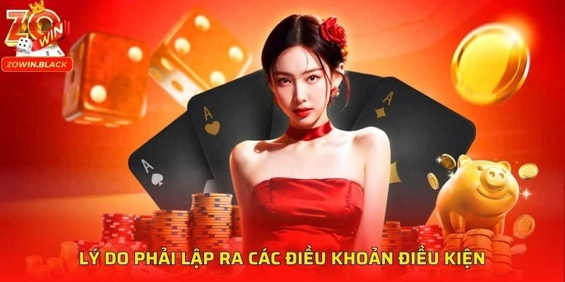 Lý do phải lập ra các điều khoản điều kiện Lý do phải lập ra các điều khoản điều kiện